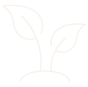 2030 yılının sonuna kadar iklim nötr bir kurum olmak